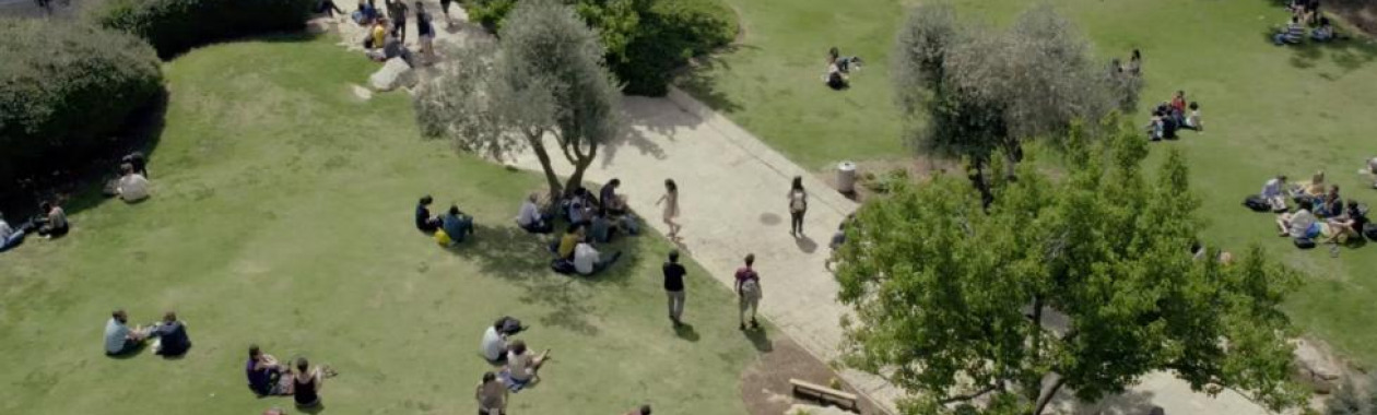 The Humanities Building Lawn